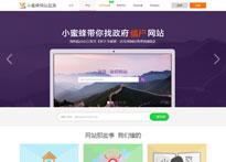 网站详细信息